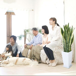 返礼品画像