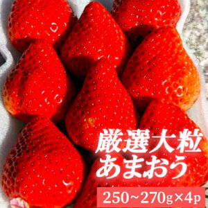 yӂ邳Ɣ[ŁzI 嗱 ܂ 4pbN  3LA2