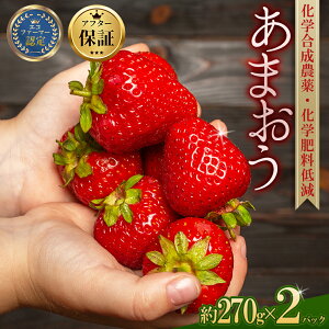yӂ邳Ɣ[Łz_ƒ ʍ͔| ܂ 270g × 2pbNyʌz  C`S  fU[g ʕ  t[c W ɂ P[L ɂ s\  @3S14