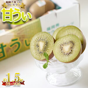 yӂ邳Ɣ[Łz ! uh LECu Â ( ܂ ) v1.5kg ʎ IWi  LEC t[c v[g    [ 3V20