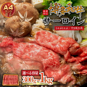 yӂ邳Ɣ[ŁzyIʁzaT[CԂԂĂp@300g`1kgIׂeʁ v300g(300g×1P) v500g(500g×1P) v1kg(500g×2P) Ԃ Ă T[C XCX 