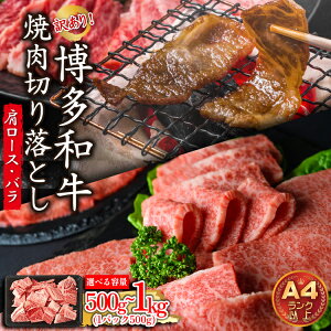 yӂ邳Ɣ[Łz 󂠂IyA4`A5z a ē ؂藎Ƃ ( [X E o jIׂeʁ500g`1kg v500g(500g×1P) v1kg(500g×2P)   Y BY  O  