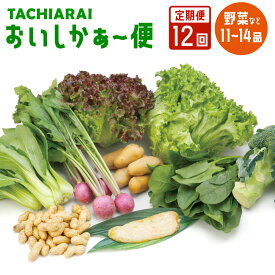 【ふるさと納税】＜定期便12回＞ 「TACHIARAI」おいしかぁ～便 夢つくし2kg入 野菜 9～12品 漬け物 1品 だいこん うり 高菜漬け 梅干し 米 夢つくし 2kg×1袋 おまかせ ランダム セット 旬 詰め合わせ 九州 福岡県 大刀洗町 送料無料