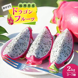 【ふるさと納税】福岡県産 ドラゴンフルーツ ホワイト 2kg (3～7個) 果物 フルーツ ※配送不可:離島　お届け：2026年8月中旬～12月下旬まで