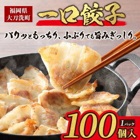 【ふるさと納税】大刀洗 一口餃子 100個 特製たれ セット【ふるさと納税限定】 餃子