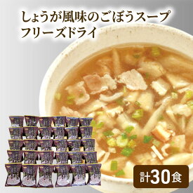 【ふるさと納税】～九州産ごぼう使用～ しょうが風味のごぼう フリーズドライスープ 30食