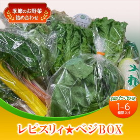 【ふるさと納税】野菜 セット レピスリィ★ベジBOX 季節のお野菜 1～6種類 詰め合わせ ※配送不可：北海道、沖縄、離島