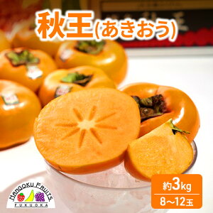 yӂ邳Ɣ[Łz` ! uh`uH()v3kg(8-12)  t[c ʕ zs:@͂F2025N1015`1125܂