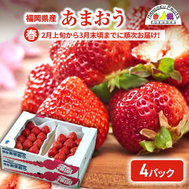 【ふるさと納税】【春】福岡産あまおう4パック いちご 苺 イチゴ フルーツ 果物 ※配送不可:離島　お届け：2026年2月1日～3月31日まで