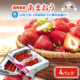 【ふるさと納税】【冬】福岡産あまおう4パック いちご 苺 イチゴ フルーツ 果物 ※配送不可:離島　お届け：2025年12月1日～2026年1月31日まで