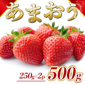 yӂ邳Ɣ[Łz Y ܂ 500gi2pbNjs\ \F2025N12菇  C`S ʕ zs:@͂F2025N122`1228܂