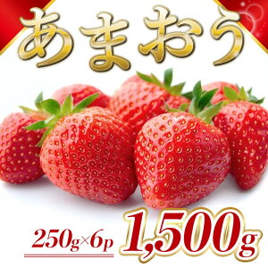 yӂ邳Ɣ[Łz Y ܂ 1500gi6pbNj s\ \F2026N2菇  C`S ʕ zs:@͂F2026N210`320܂