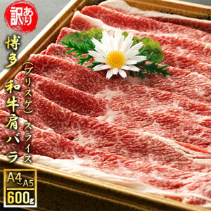 yӂ邳Ɣ[ŁzA a oiuXPjXCX 600g A4`A5 󂠂 zsF@͂FmF2Tԁ`1JB