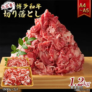 yӂ邳Ɣ[Łza e ؂藎Ƃ 1.2kgi600g×2pj1200g A4`A5 zsF@͂FmF2Tԁ`1JB