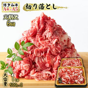 yӂ邳Ɣ[Łz 6  A4`A5 ؂藎Ƃ v1000g ai500g×2pj[X Ԑg o Jr  D]ɂpI6 zsF