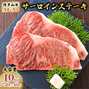 yӂ邳Ɣ[Łz T[CXe[L v10kg a A4`A5 Zbg 250g×40 zsF@͂FmF2Tԁ`1JB