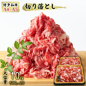 yӂ邳Ɣ[Łz  a A4`A5 ؗƂ v10kgi500g×20pj[X Ԑg o Jr zsF uߕ  o(Jr)@͂FmF2Tԁ`1JB