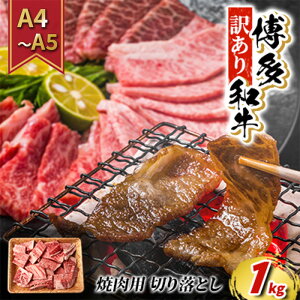 yӂ邳Ɣ[Łz󂠂  ؂藎Ƃ A4`A5 ē a 1kg A zsF@͂FmF2Tԁ`1JB