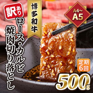 yӂ邳Ɣ[Łz 6 󂠂 [X Jr ē ؂藎Ƃ A4`A5 a 500g zs    ē I Ƃ낯 _炩