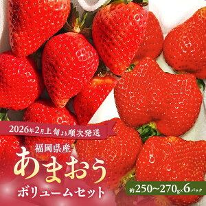 yӂ邳Ɣ[Łz܂ y2026N2{菇z ܂{[Zbg 6pbN C`S   ʕ Y zs:kCEE@͂F2026N2{`2026N