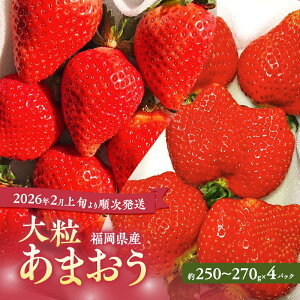 yӂ邳Ɣ[Łz܂ y2026N2{菇z嗱܂ 4pbN C`S   ʕ Y zs:kCEE@͂F2026N2{`2026N4{