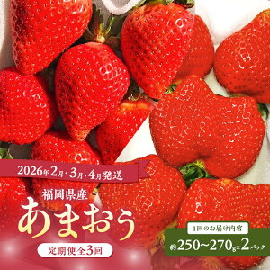 yӂ邳Ɣ[Łz܂  3 yցz܂2pbN×3i2A3A4j C`S   ʕ Y zs:kCEE@͂F2026N2{`2026N4