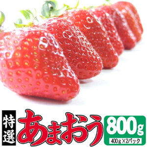 yӂ邳Ɣ[Łz 2025N12蔭 I܂ 800g ʕ t[c fU[g H ʍ͔| ō  p 蕨 Y Y {Y zsF@͂F2025N12