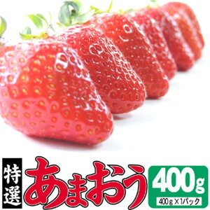 yӂ邳Ɣ[Łz 2025N12蔭 I܂ 400g zsF@͂F2025N12{`2026N3