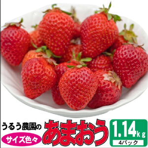 yӂ邳Ɣ[Łz 2025N12蔭 邤_̂܂ TCYFX4pbN 1.14kg ʕ t[c fU[g H ʍ͔| Y Y {Y zsF@͂F2025N1