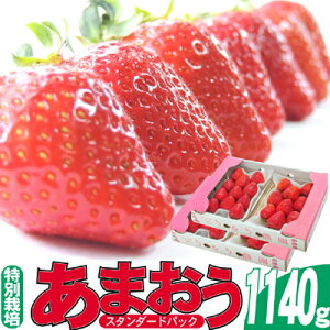 yӂ邳Ɣ[Łz 2025N12蔭 邤_̂܂ X^_[h4pbN 1.14kg ʕ t[c fU[g H ʍ͔| Y Y {Y zsF@͂F2025