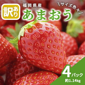 yӂ邳Ɣ[Łz󂠂  2026N3{蔭 ܂ TCYFX 4pbN 1.14kg ʕ t[c Y܂ zsF@͂F2026N3{`4{