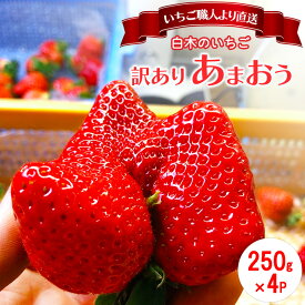 【ふるさと納税】訳あり いちご いちご職人 白木のいちご あまおう ふぞろいな「いちご」たち 250g×4P 訳アリ イチゴ 苺 果物 デザート ※配送不可：沖縄・離島　お届け：2026年1月中旬～4月下旬まで