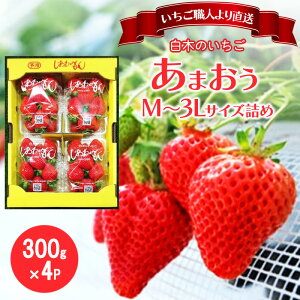 yӂ邳Ɣ[Łz El ؂̂ ܂ 300g×4pbNl (M`3LTCY) C`S  ʕ fU[g zsFE@͂F2026N2{`4{܂