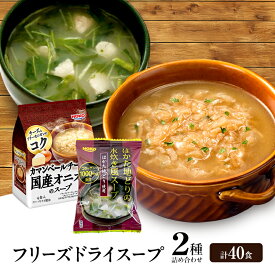 【ふるさと納税】スープ 2種のスープ (オニオン・水炊き) 各20食 計40食 フリーズドライ