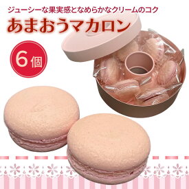 【ふるさと納税】洋菓子 あまおう マカロン 6個入り いちご スイーツ 菓子 お菓子