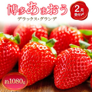 �y�ӂ邳�Ɣ[�Łz������ 4�p�b�N �������܂��� �f���b�N�X �O�����f �Z�b�g �l�ߍ��킹 ���܂��� � �C�`�S �ʕ� �������� �t���[�c �{�̃t���[�c �G�߂̃t���[�c �{�̉ʕ� �G�߂̉ʕ� ���� 