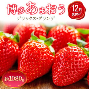 �y�ӂ邳�Ɣ[�Łz������ 4�p�b�N �������܂��� �f���b�N�X �O�����f �Z�b�g �l�ߍ��킹 ���܂��� � �C�`�S �ʕ� �������� �t���[�c �{�̃t���[�c �G�߂̃t���[�c �{�̉ʕ� �G�߂̉ʕ� ���� 