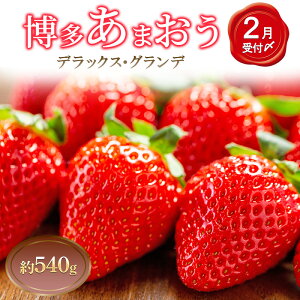 �y�ӂ邳�Ɣ[�Łz������ 2�p�b�N �������܂��� �f���b�N�X �O�����f �Z�b�g �l�ߍ��킹 ���܂��� � �C�`�S �ʕ� �������� �t���[�c �{�̃t���[�c �G�߂̃t���[�c �{�̉ʕ� �G�߂̉ʕ� ���� 