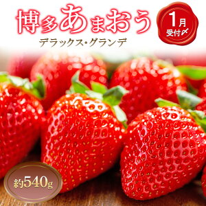 �y�ӂ邳�Ɣ[�Łz������ 2�p�b�N �������܂��� �f���b�N�X �O�����f �Z�b�g �l�ߍ��킹 ���܂��� � �C�`�S �ʕ� �������� �t���[�c �{�̃t���[�c �G�߂̃t���[�c �{�̉ʕ� �G�߂̉ʕ� ���� 