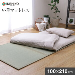 yӂ邳Ɣ[ŁzY Y  }bgX 100×210cm O zc̉Ɉ 䑐    ؒ ЃCPqRER[|[V AA038