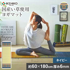yӂ邳Ɣ[Łz Y K}bg 􃈃KJAPAN A[X NbV ɂ 60×180cm PVC4mm lCr[ R hL Y  K }bg CeA}bg ^ P[X   