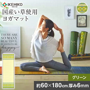yӂ邳Ɣ[Łz Y K}bg 􃈃KJAPAN A[X 60×180cm PVC4mm O[ ɂ NbV CeA}bg Y  R hL K }bg P[X   ؒ