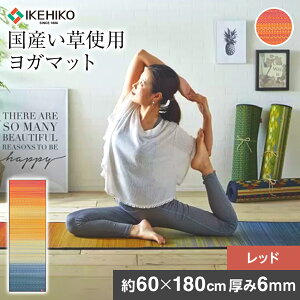 yӂ邳Ɣ[Łz Y K}bg 􃈃KJAPAN WC NbV 60×180cm ɂ PVC4mm bh K }bg CeA}bg Y  R hL ^ P[X   