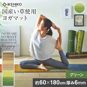 yӂ邳Ɣ[Łz Y K}bg 􃈃KJAPAN WC NbV 60×180cm ɂ PVC4mm O[ K }bg CeA}bg Y  R hL ^ P[X   