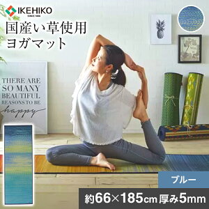 yӂ邳Ɣ[Łz Y K}bg y 􃈃KECO skysea 66×185cm 5mm u[  TPE MYGXg}[ K }bg ^ x Y  e ϋv ^ P[X  