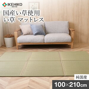 yӂ邳Ɣ[Łz Ygp  }bgX tA VO 100×210cm O[   Y   ؒ ЃCPqRER[|[V AA069
