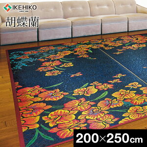 yӂ邳Ɣ[Łz O J[ybg  􃉃O ~ Ӓ 200cm×250cm  ԕ   ؒ ЃCPqRER[|[V AA225