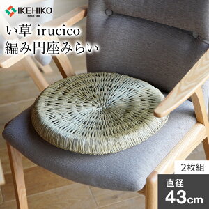 yӂ邳Ɣ[Łzirucico҂݉~݂炢a43cm 2g   ؒ ЃCPqRER[|[V AA335