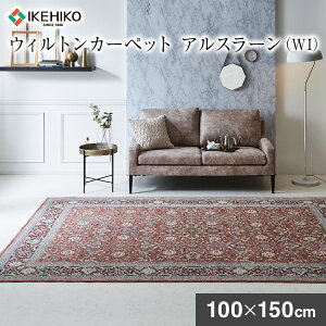 yӂ邳Ɣ[ŁzEBgJ[ybg AX[ 100×150cm WI CPqRER[|[V AA452