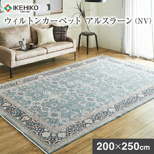yӂ邳Ɣ[ŁzEBgJ[ybg AX[ 200×250cm NV CPqRER[|[V AA456